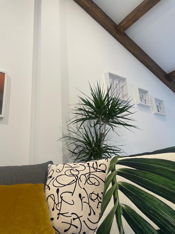 Apartment Marujita Vilanova, Singular